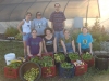 Volunteer Projects